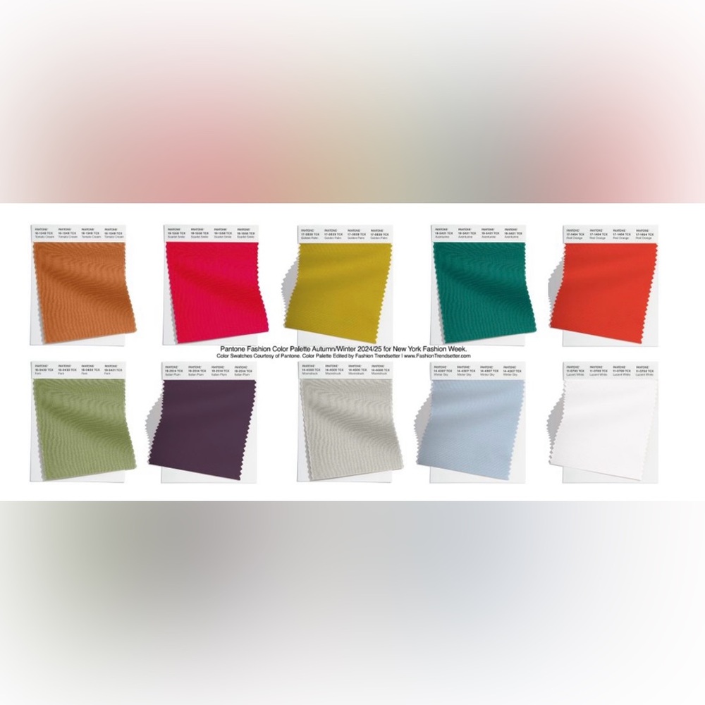 Fall Winter 2024 Color Palette